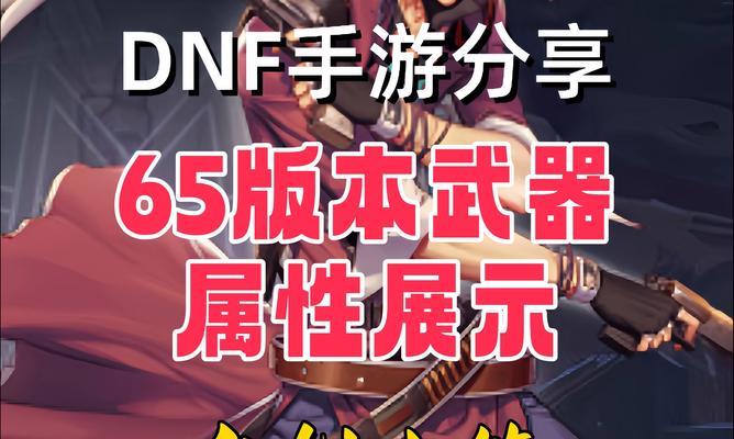 DNF模型的使用方法是什么？